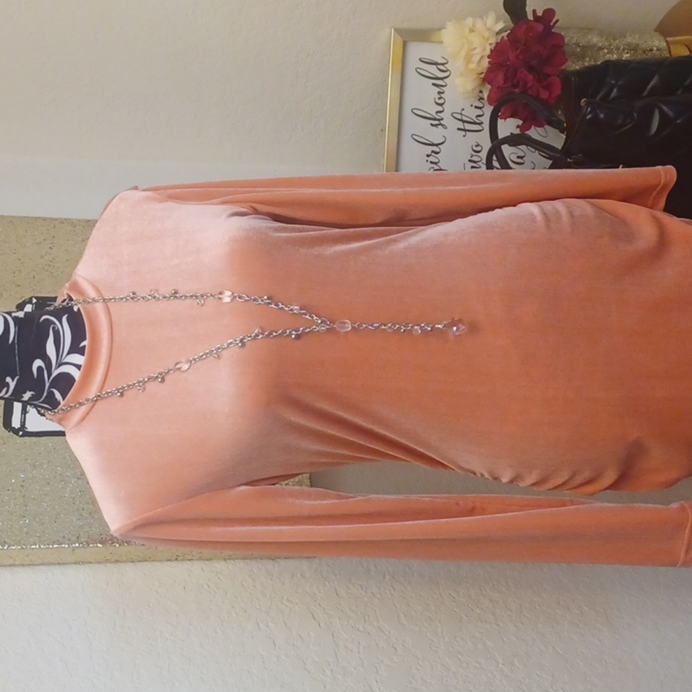 Pink Velour Dress